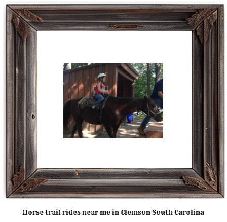 horse trail rides near me in Clemson, South Carolina